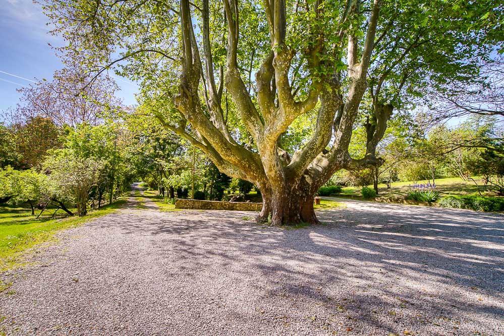 Le Vieux Moulin Villa Forcalquier Kültér fotó